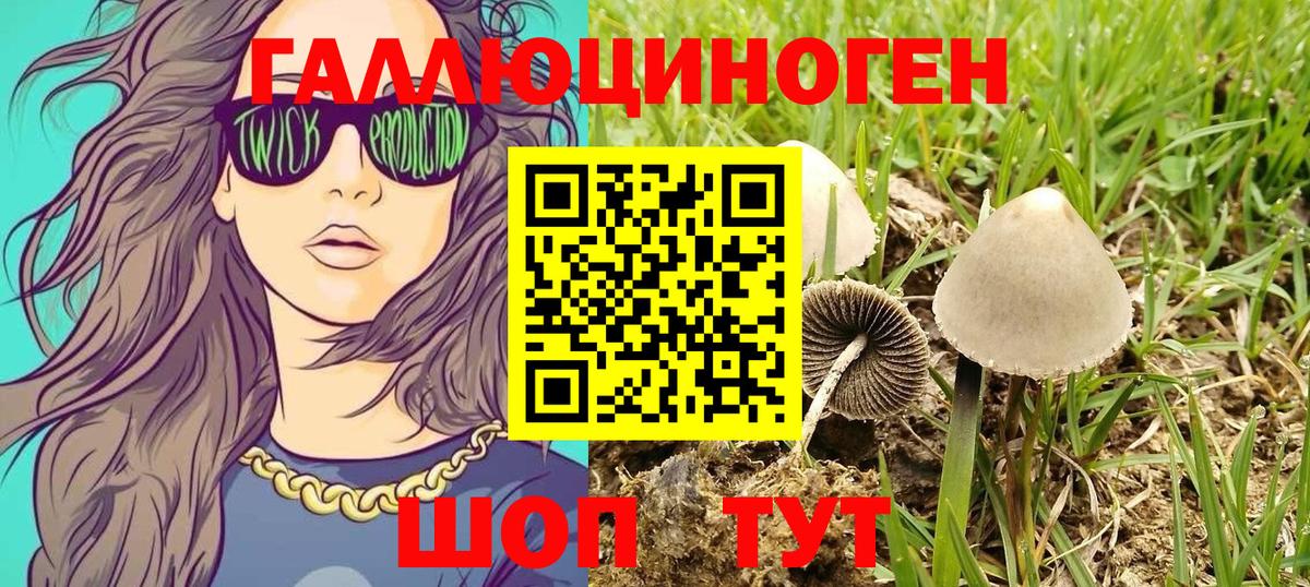 наркошоп  Вход с VPN  Светлоград  Псилоцибиновые грибы Cubensis  Галлюциногенные грибы мухоморы 