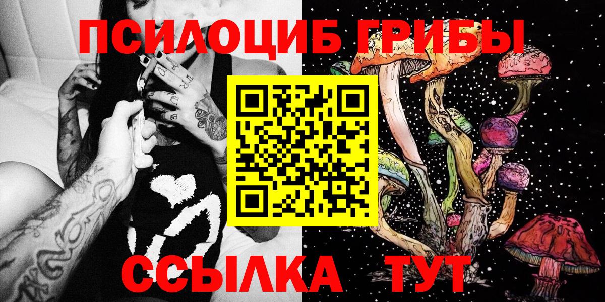 Псилоцибиновые грибы Psilocybine cubensis Светлоград